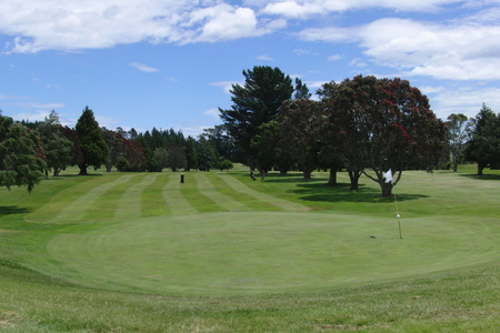 �j���[�W�[�����h�̃S���t��