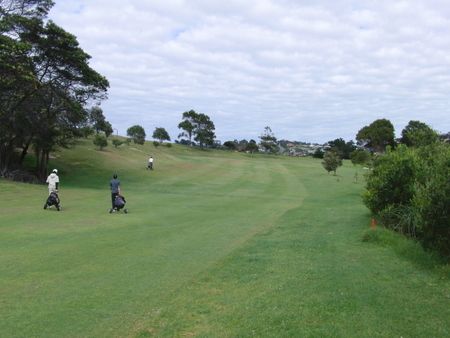 �j���[�W�[�����h�̃S���t��