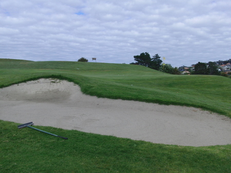 �j���[�W�[�����h�̃S���t��