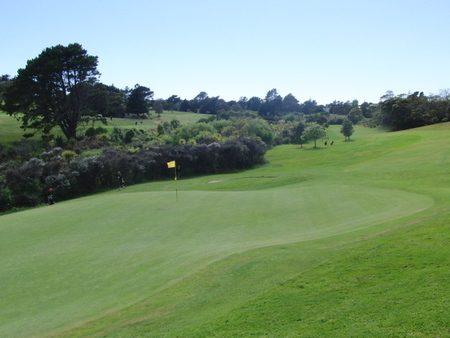 �j���[�W�[�����h�̃S���t��