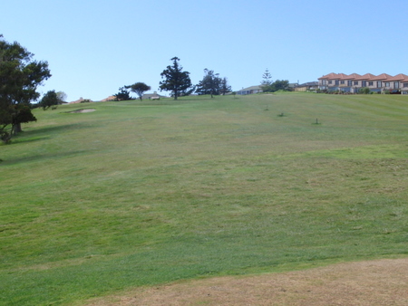 �j���[�W�[�����h�̃S���t��