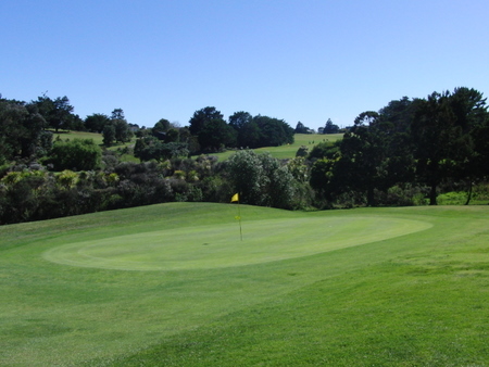 �j���[�W�[�����h�̃S���t��