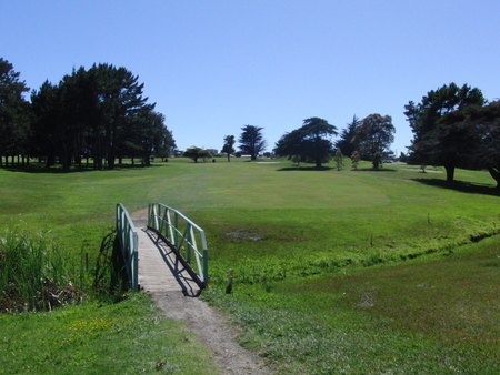 �j���[�W�[�����h�̃S���t��