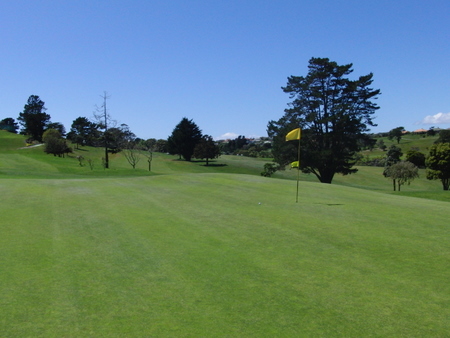 �j���[�W�[�����h�̃S���t��