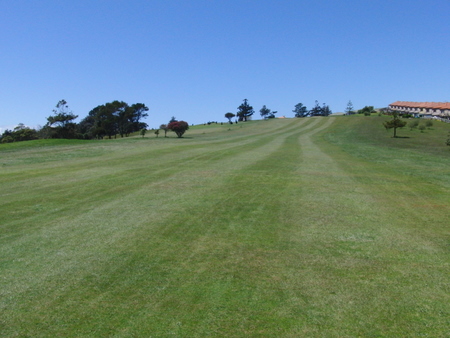 �j���[�W�[�����h�̃S���t��