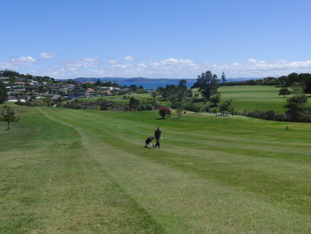 �j���[�W�[�����h�̃S���t��