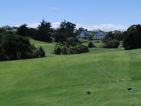 �j���[�W�[�����h�̃S���t��