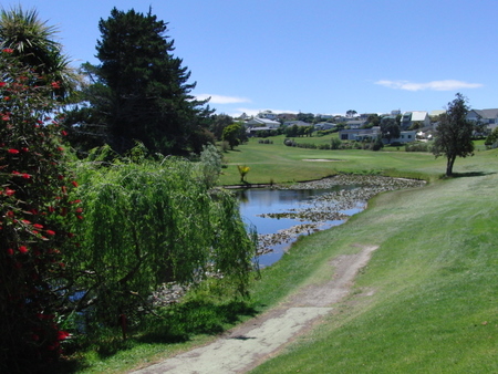 �j���[�W�[�����h�̃S���t��