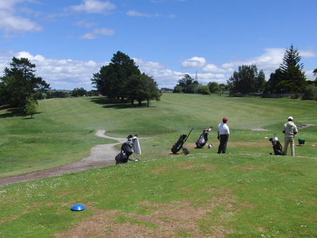 �j���[�W�[�����h�̃S���t��