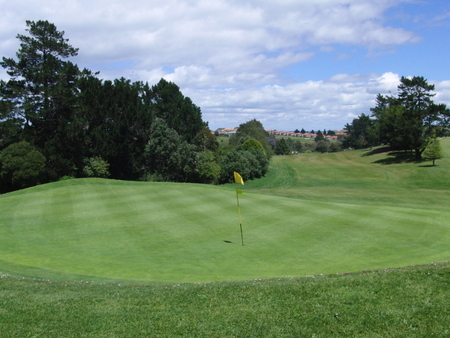 �j���[�W�[�����h�̃S���t��