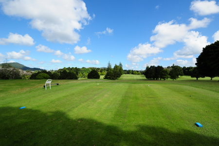 �j���[�W�[�����h�̃S���t��