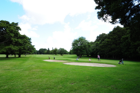 �j���[�W�[�����h�̃S���t��