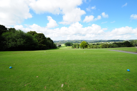 �j���[�W�[�����h�̃S���t��