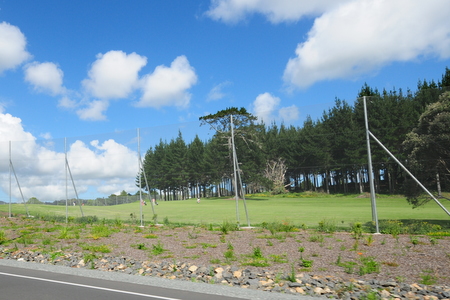 �j���[�W�[�����h�̃S���t��