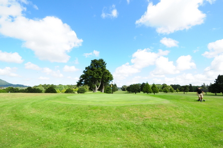 �j���[�W�[�����h�̃S���t��