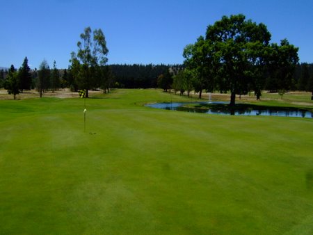 �j���[�W�[�����h�̃S���t��