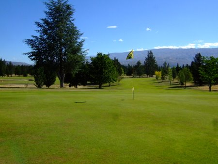 �j���[�W�[�����h�̃S���t��