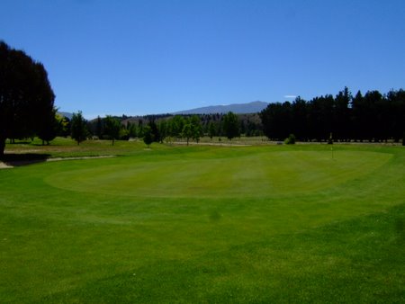 �j���[�W�[�����h�̃S���t��