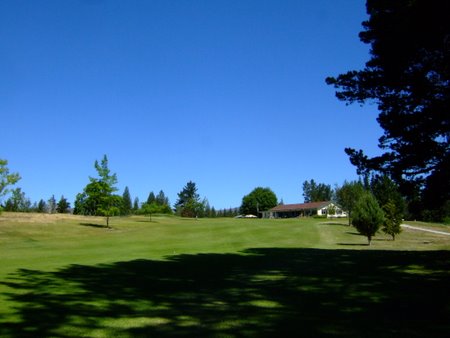 �j���[�W�[�����h�̃S���t��