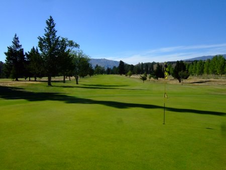 �j���[�W�[�����h�̃S���t��