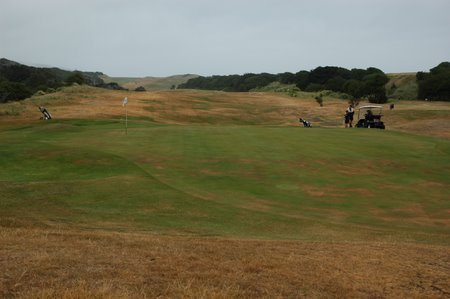 �j���[�W�[�����h�̃S���t��