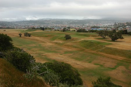 �j���[�W�[�����h�̃S���t��