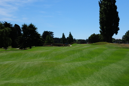 クライストチャーチ シャーリー ゴルフ場 ニュージーランド