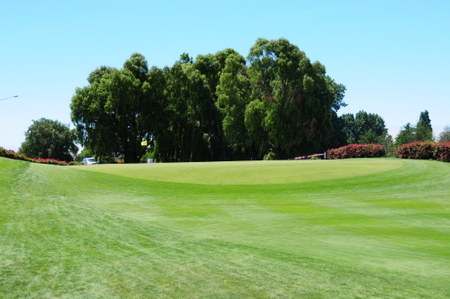 クライストチャーチ シャーリー ゴルフ場 ニュージーランド