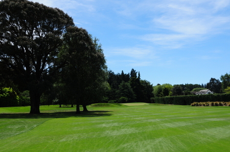 クライストチャーチ シャーリー ゴルフ場 ニュージーランド