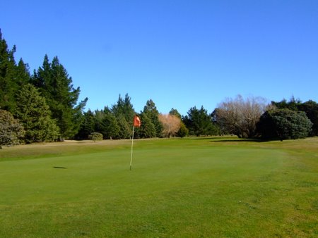 �j���[�W�[�����h�̃S���t��