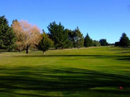 �j���[�W�[�����h�̃S���t��