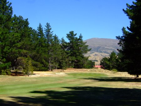 �j���[�W�[�����h�̃S���t��