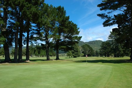 �j���[�W�[�����h�̃S���t��