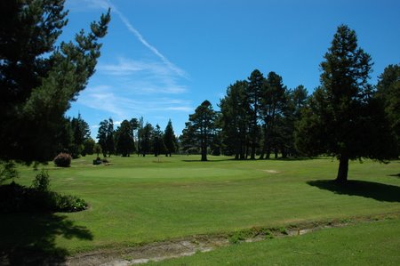 �j���[�W�[�����h�̃S���t��