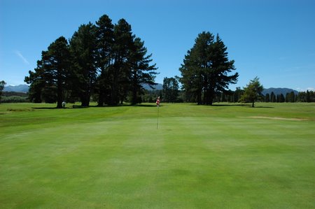 �j���[�W�[�����h�̃S���t��