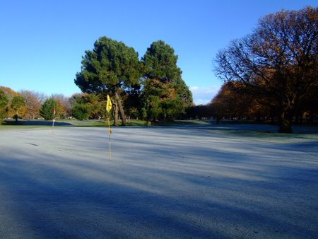 �j���[�W�[�����h�̃S���t��