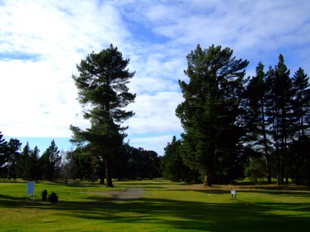 �j���[�W�[�����h�̃S���t��