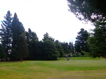 �j���[�W�[�����h�̃S���t��