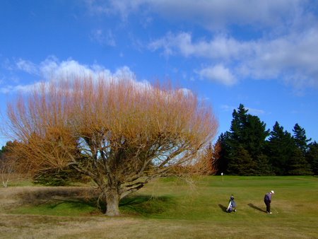 �j���[�W�[�����h�̃S���t��