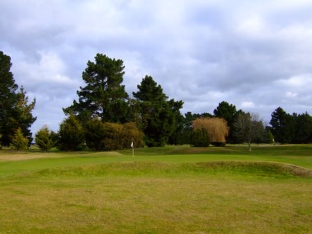 �j���[�W�[�����h�̃S���t��