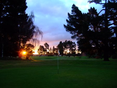 �j���[�W�[�����h�̃S���t��