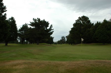 �j���[�W�[�����h�̃S���t��