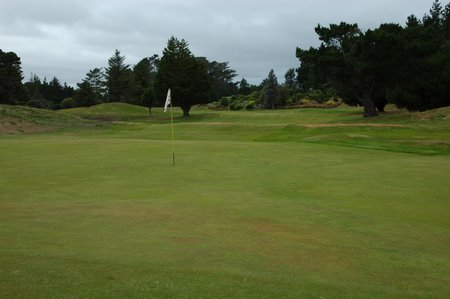 �j���[�W�[�����h�̃S���t��