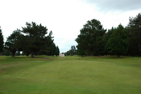 �j���[�W�[�����h�̃S���t��