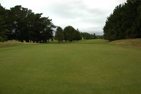 �j���[�W�[�����h�̃S���t��