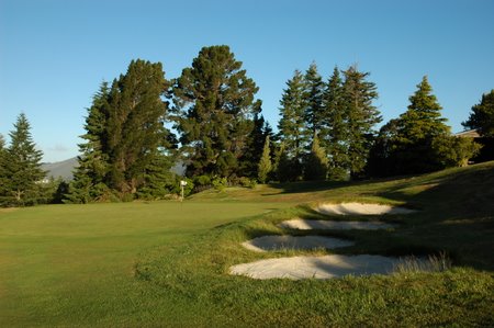 �j���[�W�[�����h�̃S���t��