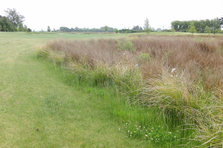 ペガサス ゴルフ場 ニュージーランド