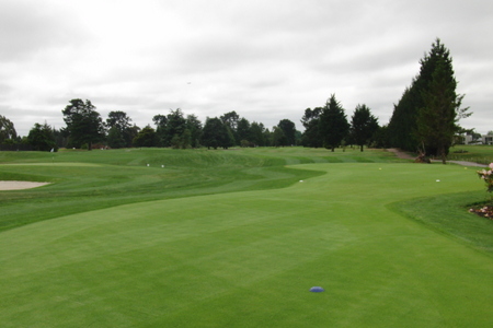 �j���[�W�[�����h�̃S���t��