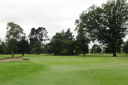 �j���[�W�[�����h�̃S���t��