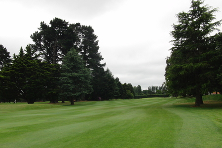 �j���[�W�[�����h�̃S���t��